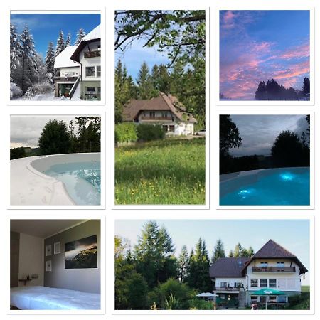 B & B Der Waldvogel Herrischried Екстериор снимка